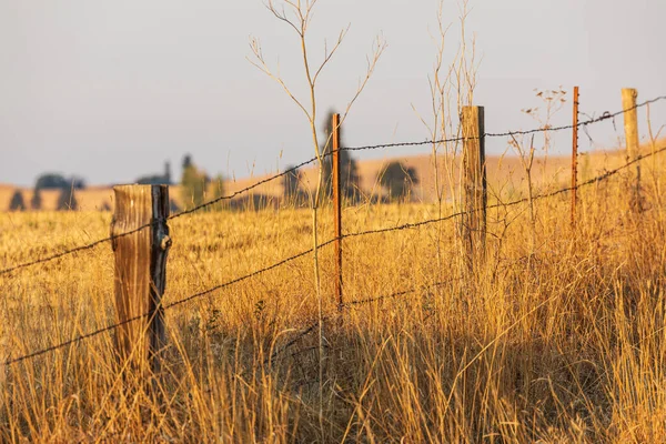 USA, Washington State, Whitman County. Palouse. Fence Posts.