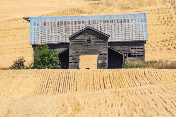 Usa Idaho Viola Potter Road Palouse Old Barn Palouse Hills — Zdjęcie stockowe