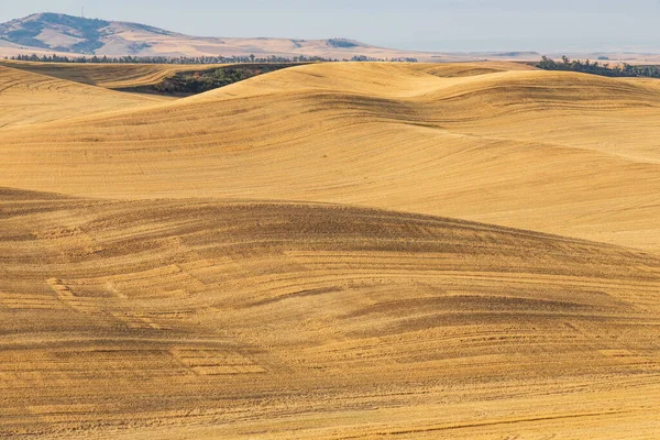 Usa Washington State Whitman County Palouse Pullman Old Moscow Road — Stock fotografie