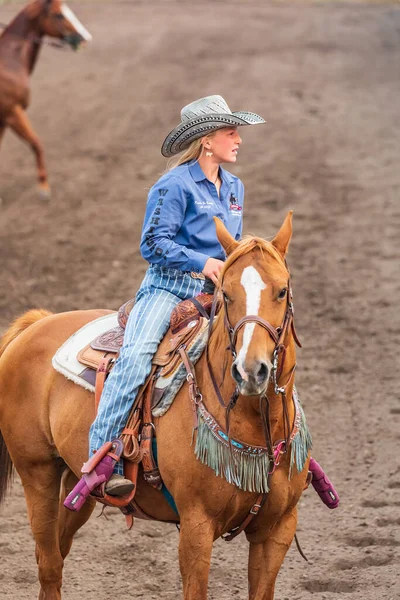 Usa Washington State Whitman County Palouse Palouse Empire State Fair — 图库照片