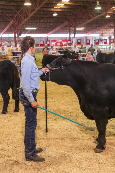 Usa Washington State Whitman County Palouse Palouse Empire State Fair — Foto de Stock