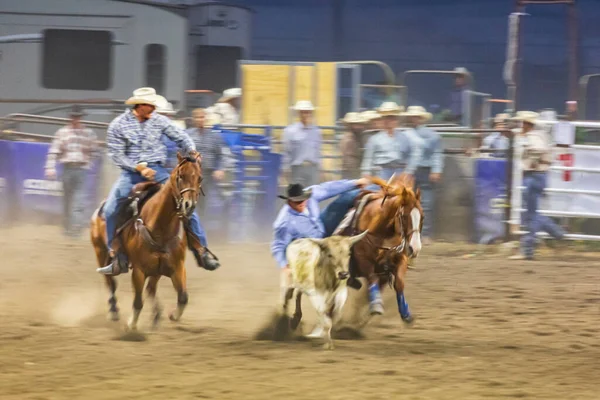 Usa Washington State Whitman County Palouse Palouse Empire State Fair — Foto de Stock