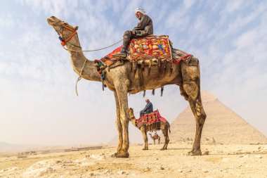 Giza, Kahire, Mısır. 18 Şubat 2022. Giza 'daki Büyük Piramit Kompleksi' nde develi adamlar.