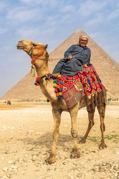 Γκίζα Κάιρο Αίγυπτος Φεβρουαρίου 2022 Άνθρωπος Ξαπλωμένος Μια Καμήλα Εκθειασμένη — Φωτογραφία Αρχείου