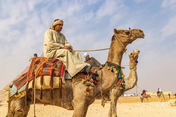 Gizé Cairo Egipto Fevereiro 2022 Homens Camelos Complexo Grande Pirâmide — Fotografia de Stock