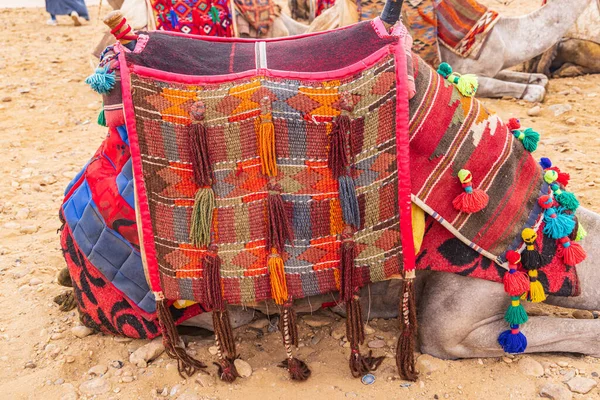 Гиза Каир Египет Верблюд Плетеным Декоративным Одеялом Гизе Каир — стоковое фото
