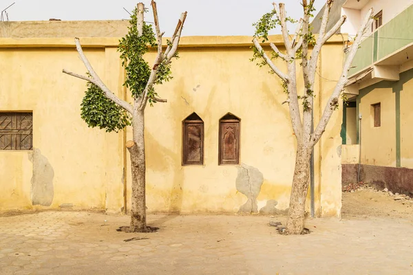 Faiyum Egypte Bomen Stoep Het Dorp Faiyum — Stockfoto