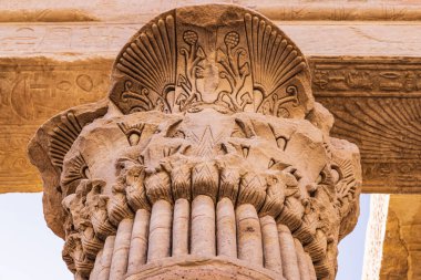 Agilkia Adası, Aswan, Mısır. UNESCO 'nun Dünya Mirası Alanı' nda, bir palmiye gibi oyulmuş bir sütunun başkenti.