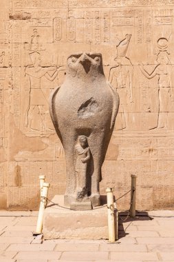 Edfu, Aswan, Mısır. Şahin tanrısı Horus 'un heykeli Edfu' daki Horus Tapınağı 'nda..