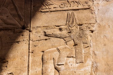 Edfu, Aswan, Mısır. Edfu 'daki Horus Tapınağı' nda tanrı Anubis 'in oyması..