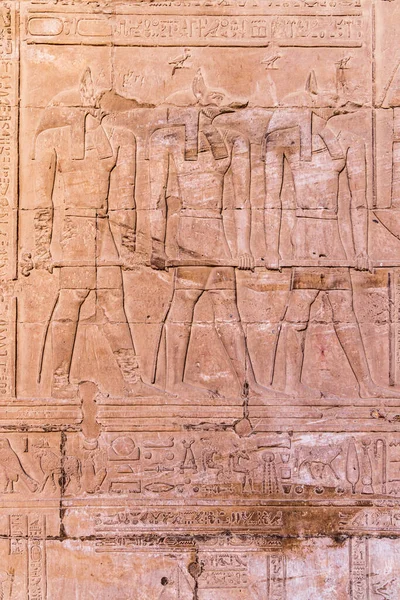 Edfu Aswan Egypt Carving God Anubis Temple Horus Edfu — Stock Photo, Image