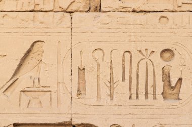 Karnak, Luxor, Mısır. Luxor 'daki Karnak Tapınağı kompleksinin duvarındaki hiyeroglifler..