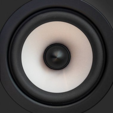 Hoparlörün orta veya bas sürücüsü. Siyah kutu