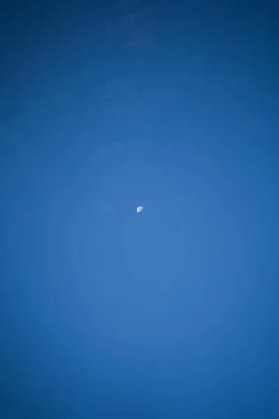 Moon Still Showing Itself Morning — Stock Photo, Image