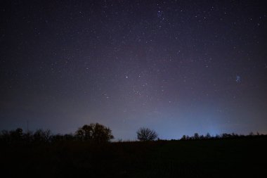 Ufukta ağaçlar olan yıldızlarla dolu huzurlu bir gece.