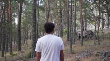 Beyaz tişörtlü genç adam Pinus Sylvestris ormanında arkadan görülüyor. Yüksek kalite 4k görüntü