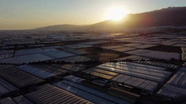 Almerya, Endülüs ve İspanya 'daki birçok seranın hava görüntüleri. Güney İspanya 'da arka planda güneş olan seralar. Yüksek kalite 4k görüntü