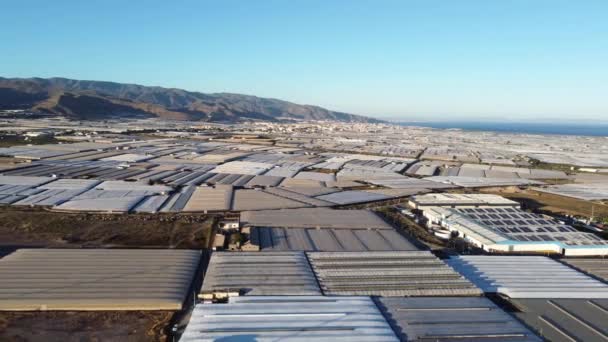 Drone Disparó Sobre Los Invernaderos Almerimar Andalucía Europa Zona Producción — Vídeo de stock