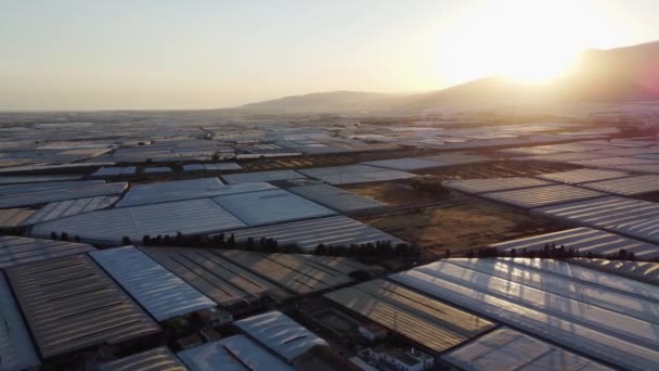 Left Panning Drone Greenhouses Roquetas Del Mar Spain Sunset Producing — Stock Video
