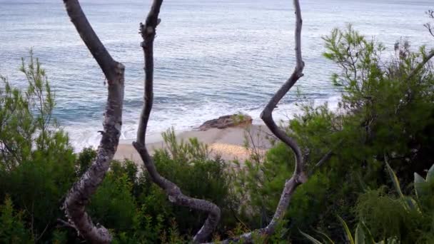 Ağaçlar Doğa Arasındaki Sakin Sahilin Sabit Görüntüsü Yükseklikten Görülüyor Beklenen — Stok video