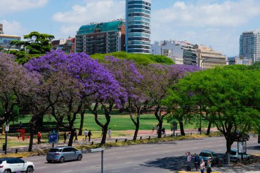 Buenos Aires, Arjantin. 7 Kasım 2021. Renkli ağaçlar. Libertador Bulvarı Avenida del Libertador