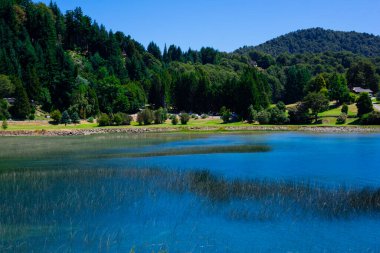Bariloche, Arjantin. 8 Şubat 2020. Nahuel Huapi Gölü manzarası ve Puerto Panuelo 'dan alınan orman