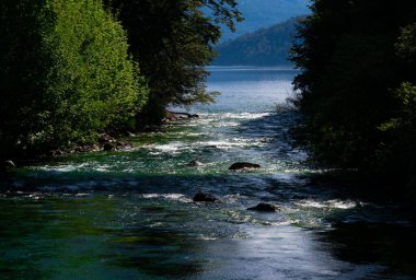 View of Correntoso River (Rio Correntoso), runs from Correntoso Lake to Nahuel Huapi Lake, standing out as one of the shortest rivers in the world. Villa La Angostura, Argentina clipart