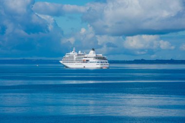 Puerto Montt, Şili. 13 Şubat 2020. Reloncavi Sound 'da bir yolcu gemisinin görüntüsü