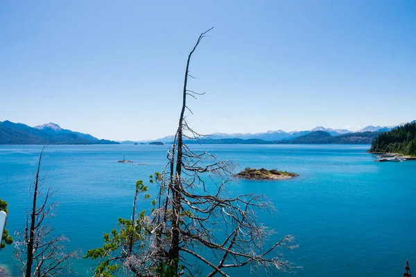 Arka Planda Kuru Bir Ağaç Nahuel Huapi Gölü Görünüyor Bariloche — Stok fotoğraf