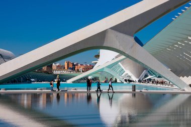 Valencia, İspanya. 6 Şubat 2019. Prens Philip Bilim Müzesi 'nin dışında su havuzu. Sanat ve Bilim Şehri 'nde. Mimarlar Santiago Calatrava ve Felix Candela