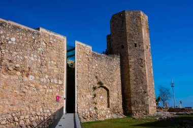 Tarragona, İspanya. 8 Şubat 2019. Tarraco Sirki 'nin (Tarraco Sirki) giriş manzarası)