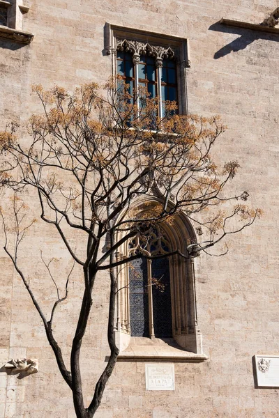 Valencia Spanien Februari 2019 Fasaden För Silkesutbyte Lonja Seda — Stockfoto