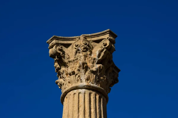 スペインのタラゴナ 2019年2月8日 タラコ植民地フォーラム トララコ植民地フォーラム タラゴナの近代的な都市に位置する古代ローマの考古学的サイト — ストック写真