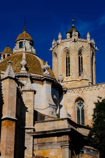 塔拉戈纳圆顶大教堂 Catedral Santa Tecla Tarragona 的景观 西班牙塔拉戈纳 — 图库照片