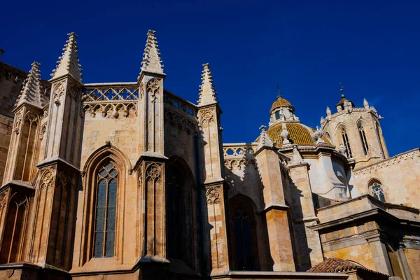 Veduta Della Cattedrale Tarragona Catedral Santa Tecla Tarragona Tarragona Spagna — Foto Stock