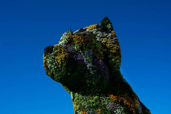 Bilbao España Febrero 2019 Escultura Cachorro Cubierta Flores Por Artista —  Fotos de Stock