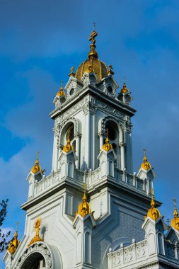 Bulgar Demir Kilisesi (Bulgarca: Sveti Stefan Kilisesi), Balat, İstanbul, Türkiye 'de Bulgar Ortodoks Kilisesi.