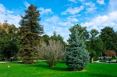 İstanbul, Türkiye. 23 Kasım 2019. Beşiktaş ilçesinde yer alan Dolmabahce Sarayı 'nın Bahçeleri Osmanlı İmparatorluğu' nun ana yönetim merkeziydi.