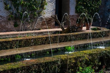 Generalife avlusuna (Patio de la Acequia) bakın. Çeşme ve bahçe