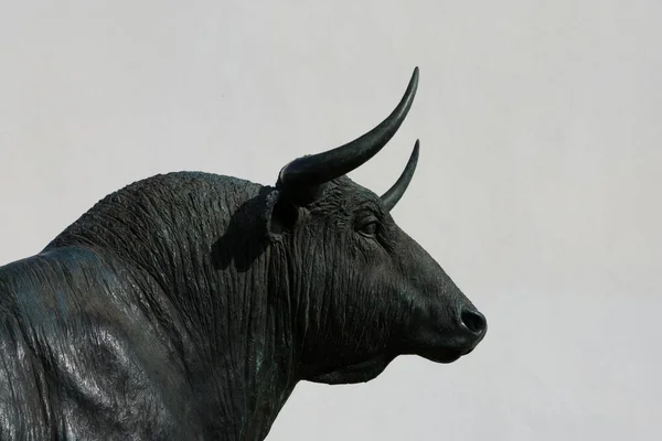 Ronda España Enero 2018 Estatua Toro Frente Plaza Toros — Foto de Stock
