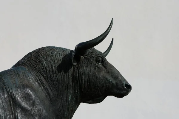 Ronda Spagna Gennaio 2018 Statua Del Toro Davanti All Arena — Foto Stock