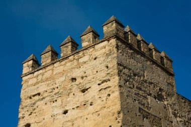 Jerez de la Frontera, İspanya. 22 Ocak 2018. Jerez de la Frontera Kulesi 'nden Alcazar