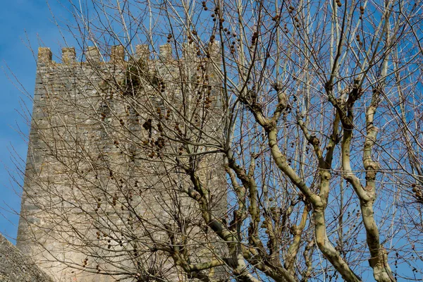 Obidos Portugal Enero 2018 Castillo Medieval Obidos Torre Castelo Obidos — Foto de Stock