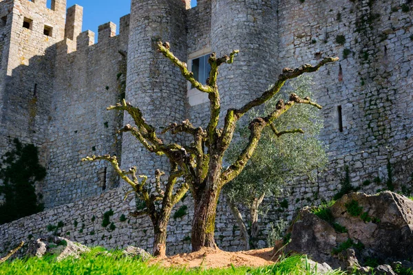 Обидос Португалия Января 2018 Года Средневековый Замок Обидос Castelo Obidos — стоковое фото