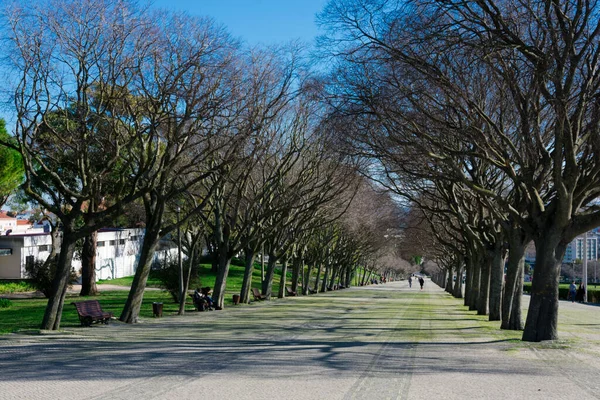 Lizbon Portekiz Ocak 2018 Eduardo Vii Park Bakış Açısı Miradouro — Stok fotoğraf