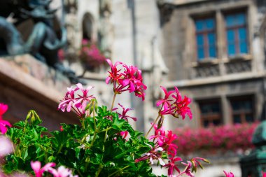 Mary Meydanı 'nda renkli akarsular (Marienplatz). Münih, Almanya
