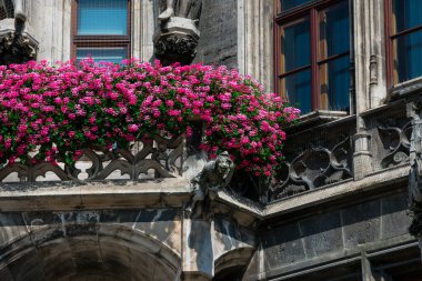 Mary Meydanı 'ndaki (Marienplatz) Yeni Belediye Binası (Neues Rathaus) Neogothic binası. Münih, Almanya