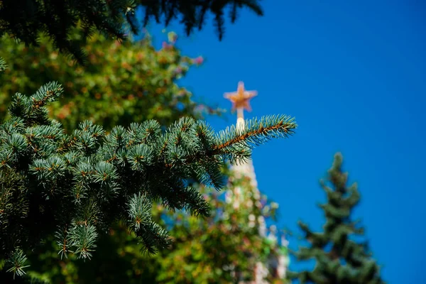 Сосна Гілка Дерева Вежа Зіркою Зверху Задньому Плані Москва — стокове фото