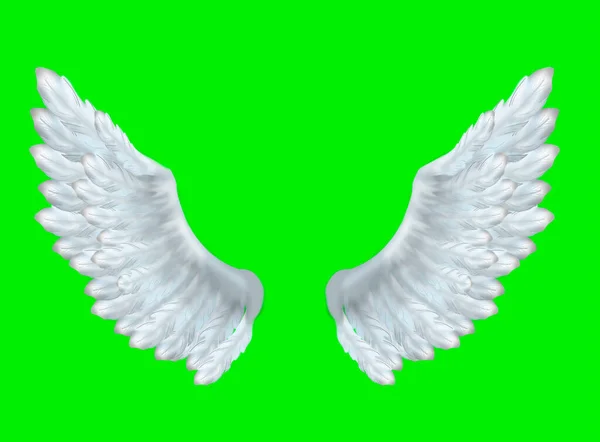 绿色背景上的天使翅膀图解 用于突出显示 — 图库照片