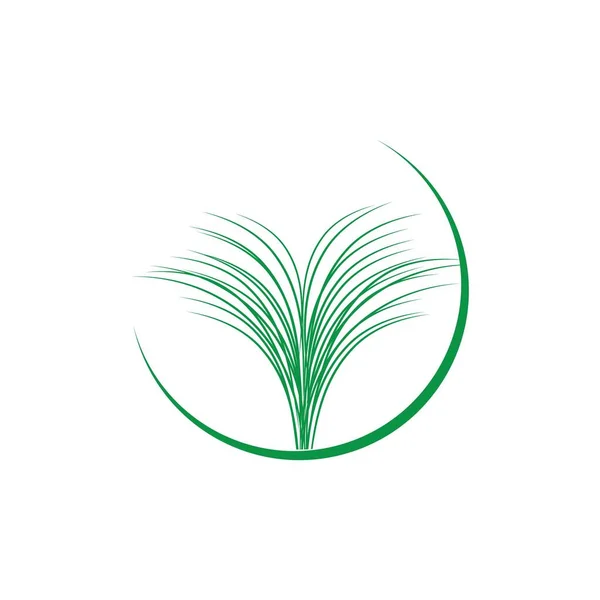 Lemongrass Illustration Symbol Vorlage Freier Vektor — Stockvektor